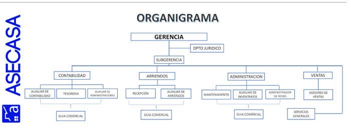 Organigrama